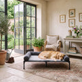 Airlie Elevated Dog Bed with Cooling Mesh Deck, 7" Off the Floor, to 88 lb