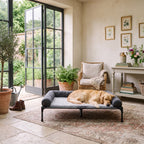 Airlie Elevated Dog Bed with Cooling Mesh Deck, 7" Off the Floor, to 88 lb