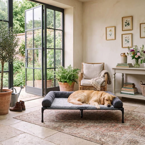 Airlie Elevated Dog Bed with Cooling Mesh Deck, 7" Off the Floor, to 88 lb