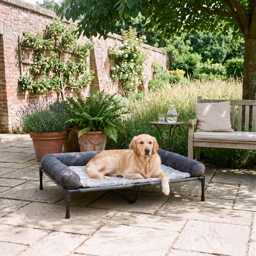 Airlie Elevated Dog Bed with Cooling Mesh Deck, 7" Off the Floor, to 88 lb — view 4