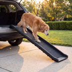 Fellside Folding Dog Ramp for Car and SUV, 61-Inch, 150 lb