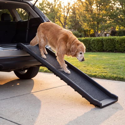 Fellside Folding Dog Ramp for Car and SUV, 61-Inch, 150 lb