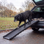 Fellside Folding Dog Ramp for Car and SUV, 61-Inch, 150 lb — view 6