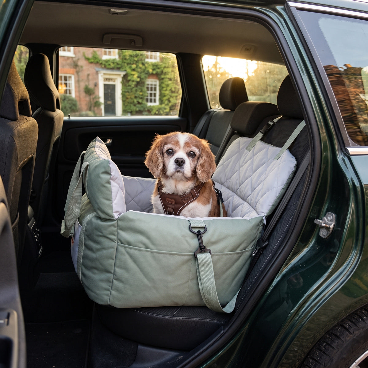 Russet Dog Booster Seat for Small Dogs, Seat-Belt Loops, Washable Cover