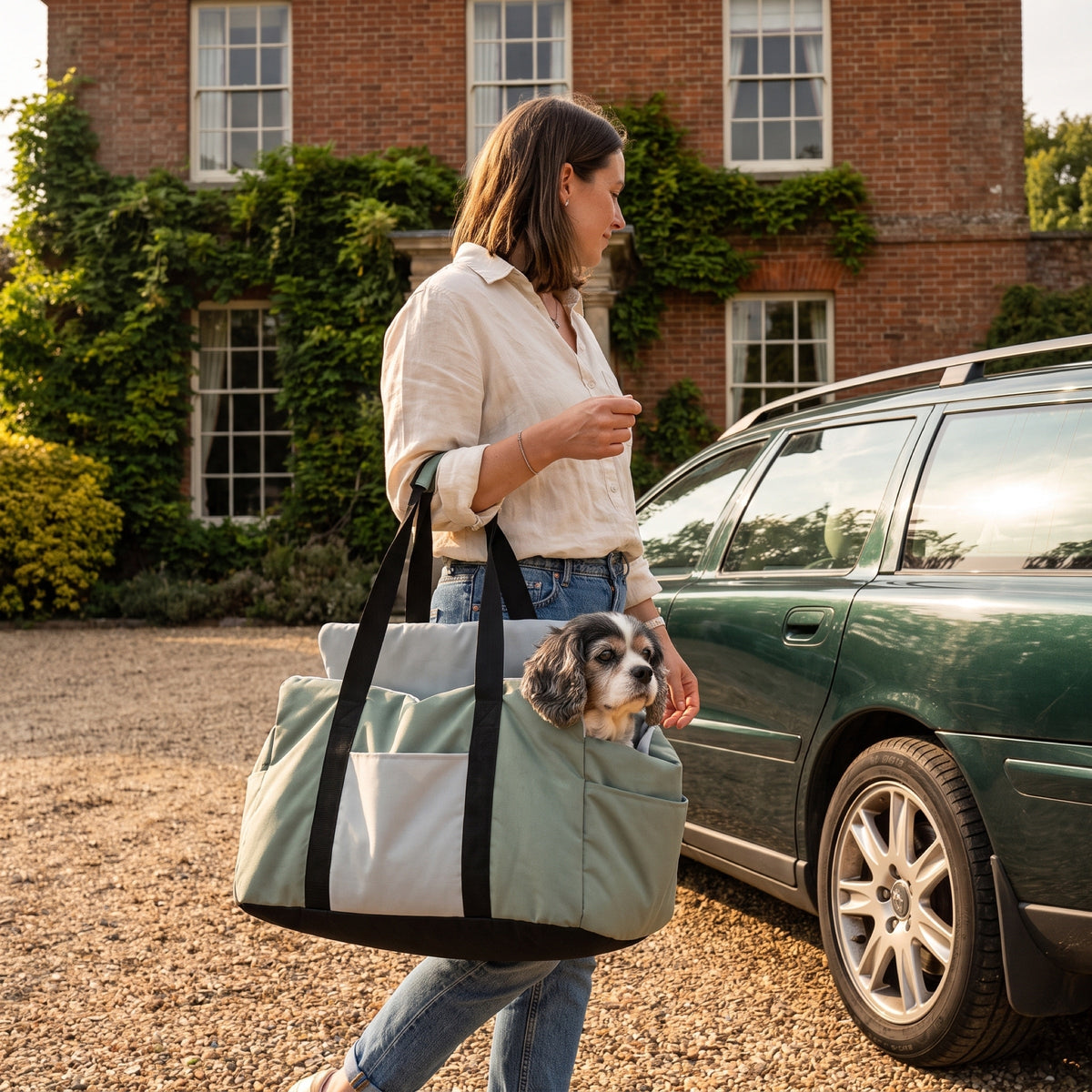 Russet Dog Booster Seat for Small Dogs, Seat-Belt Loops, Washable Cover — view 4
