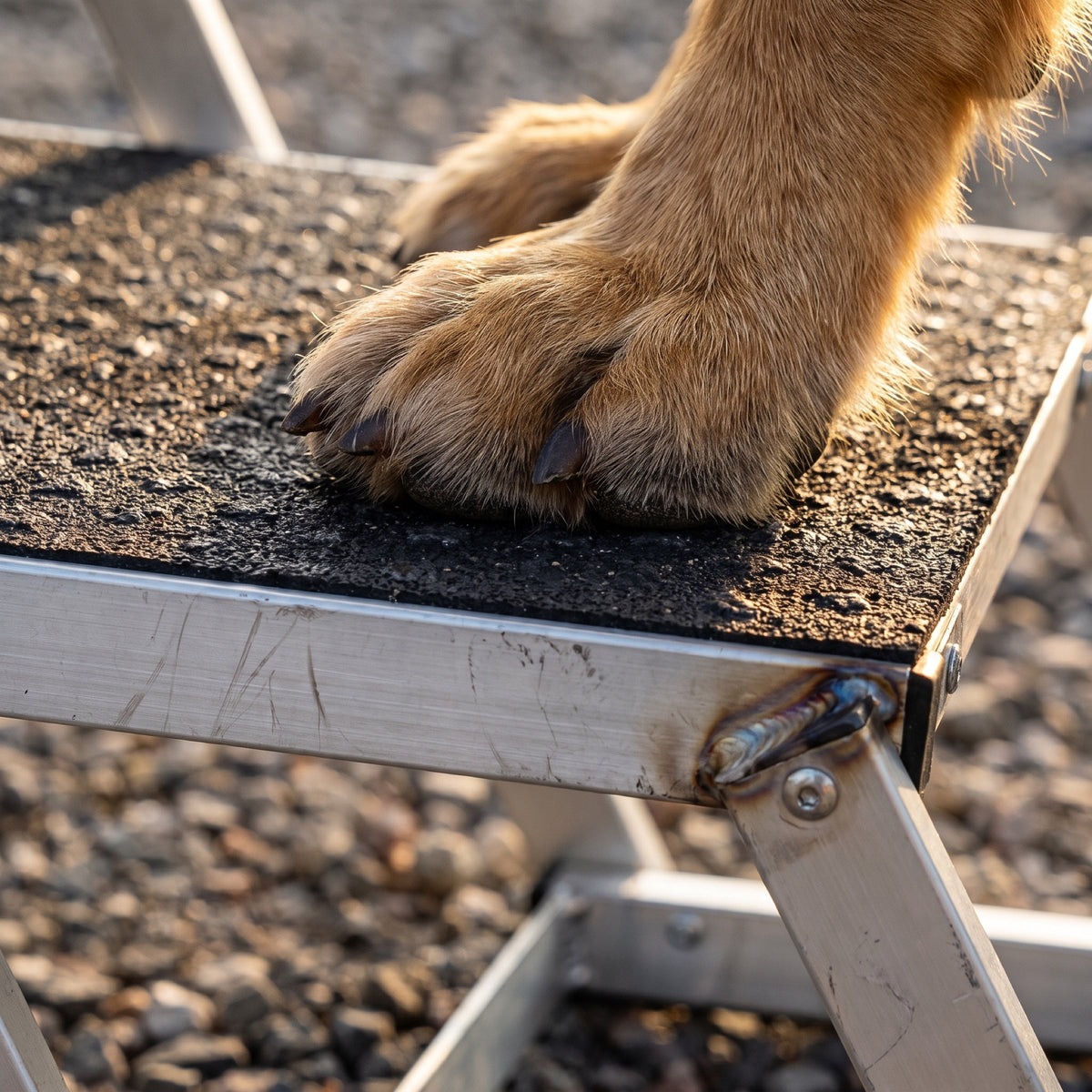 Scree Folding Aluminum Dog Stairs for Large Dogs, 4 Steps, 250 lb — view 3