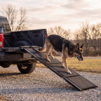 Tor Heavy-Duty Dog Ramp for Truck Beds, 250 lb, 63 or 71 Inches