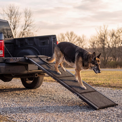 Tor Heavy-Duty Dog Ramp for Truck Beds, 250 lb, 63 or 71 Inches