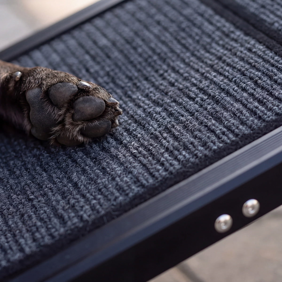 Tor Heavy-Duty Dog Ramp for Truck Beds, 250 lb, 63 or 71 Inches — view 3